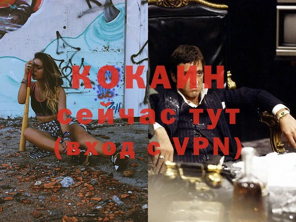 трава Медвежьегорск