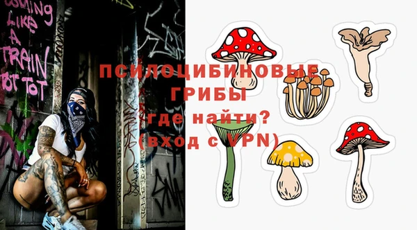 трава Медвежьегорск