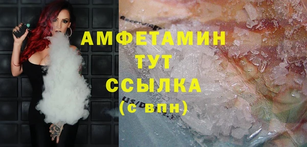 молекула духа Мегион